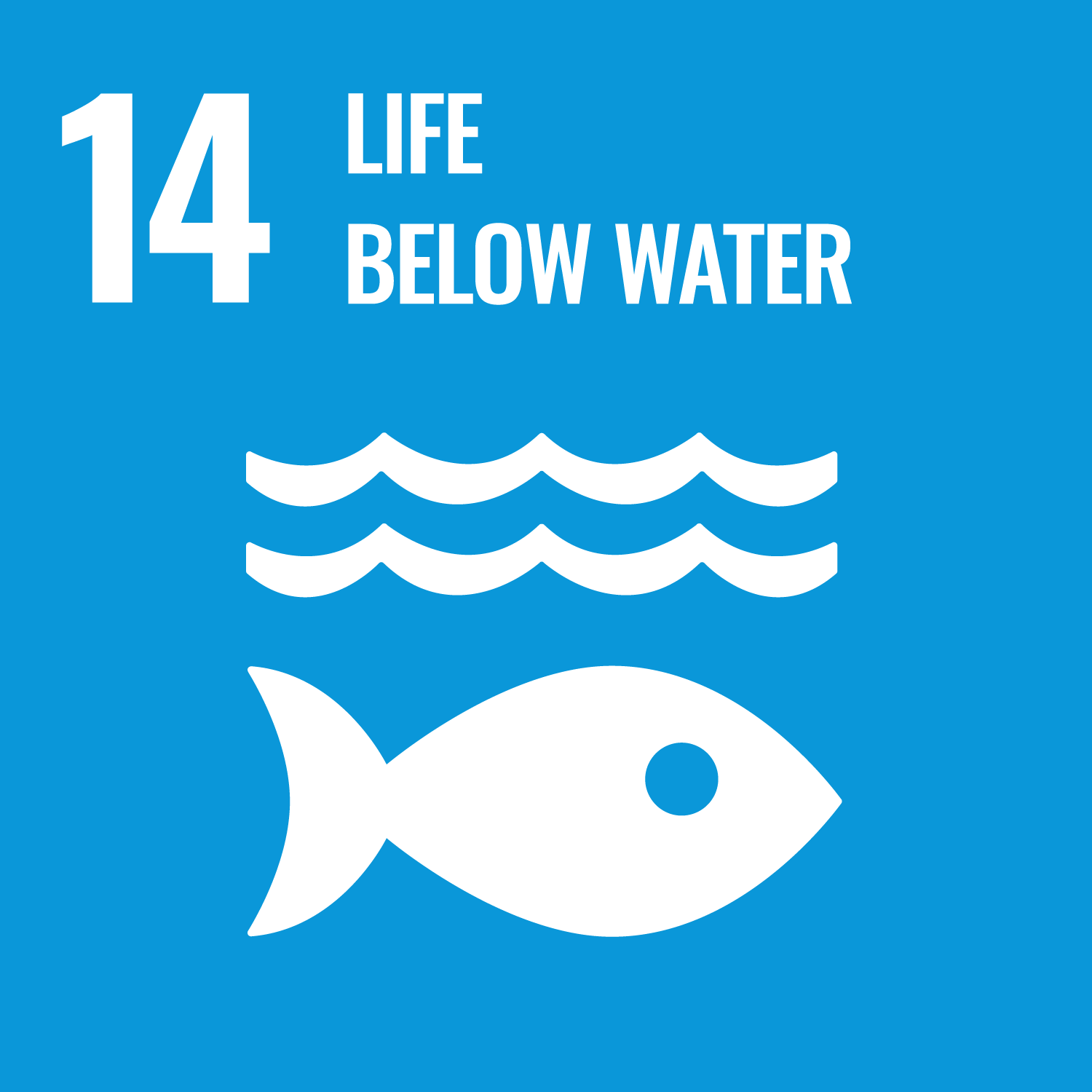 14 — Life Below Water