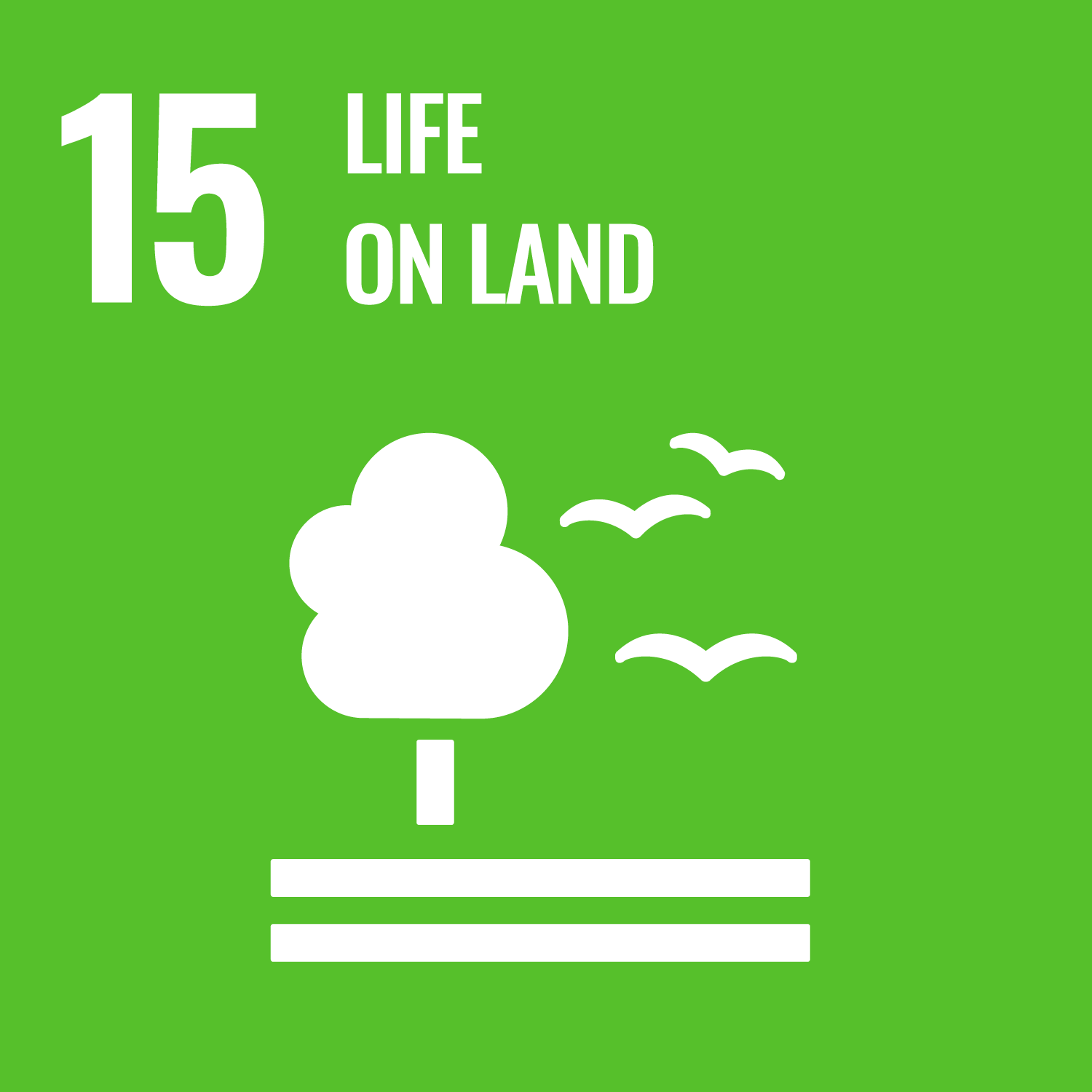 15 — Life on Land 15 — Life on Land