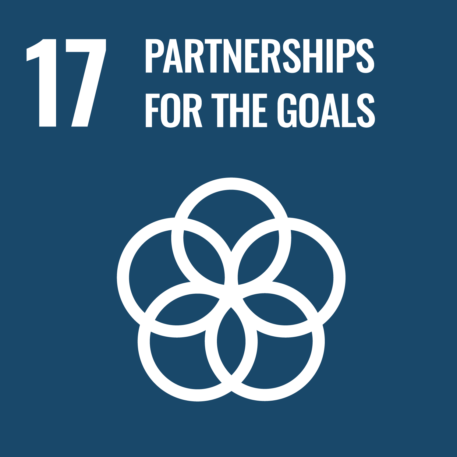 17 — Partnerships for the Goals